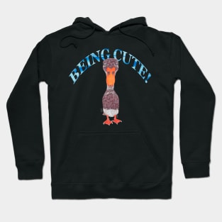 INDIAN RUNNER DUCK BEING CUTE Hoodie